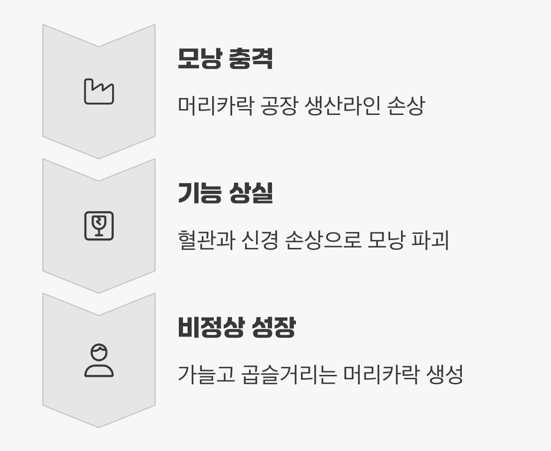 두 번째, 머리카락 공장 '모낭'의 영구 손상