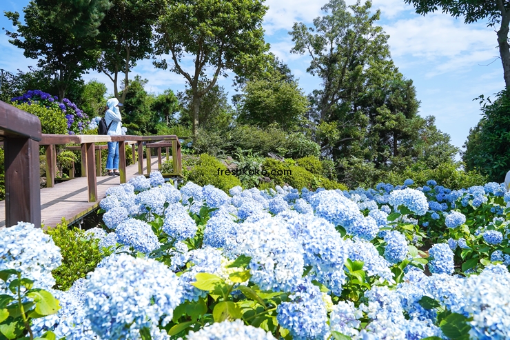 7월 축제 가볼만한곳 10곳