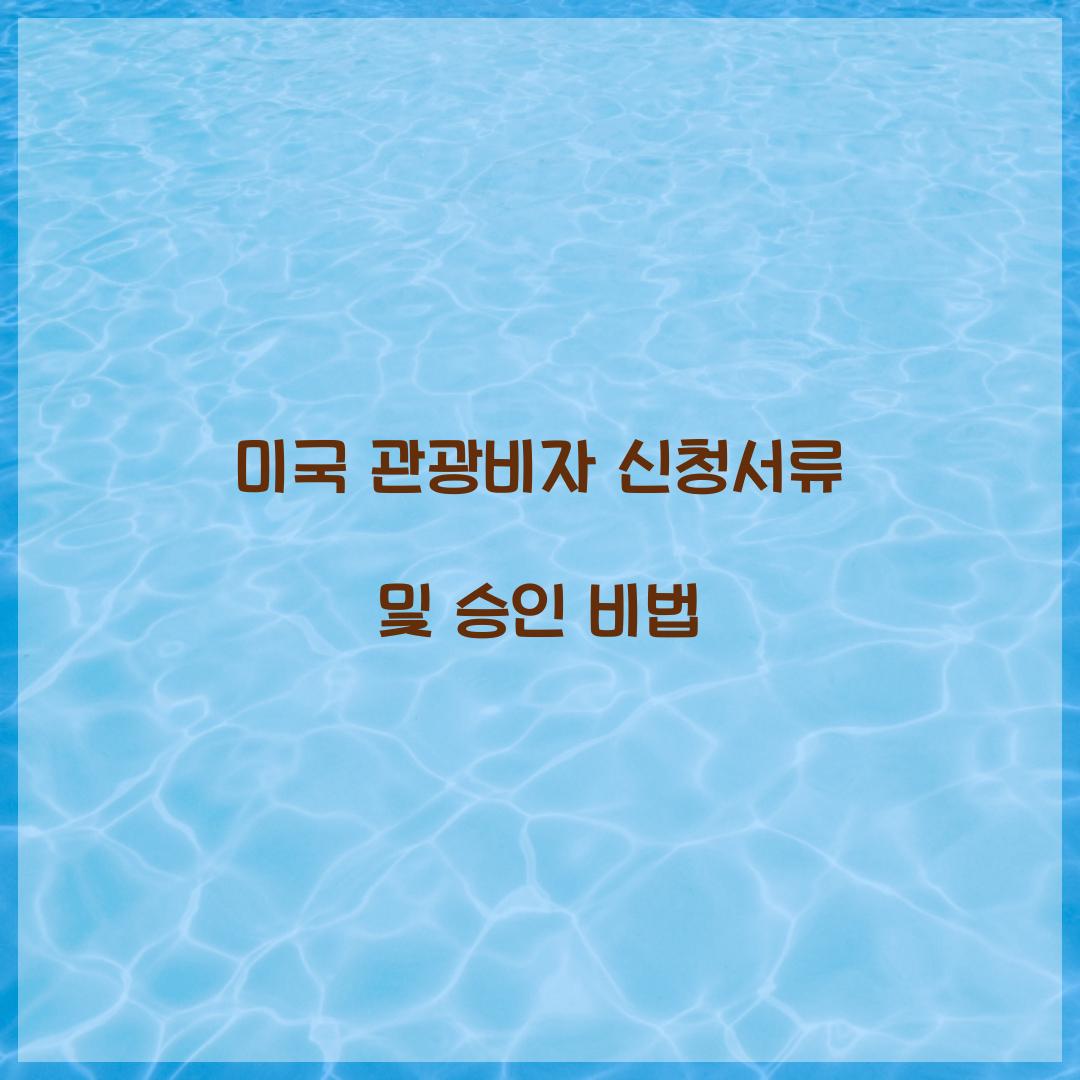 미국 관광비자