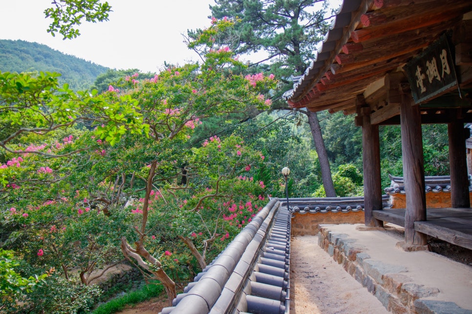 밀양 월연정 월연대