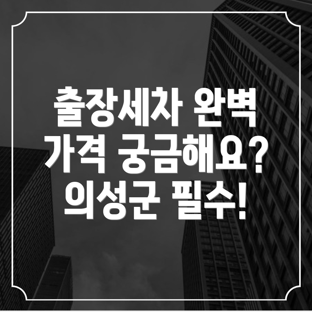 출장세차