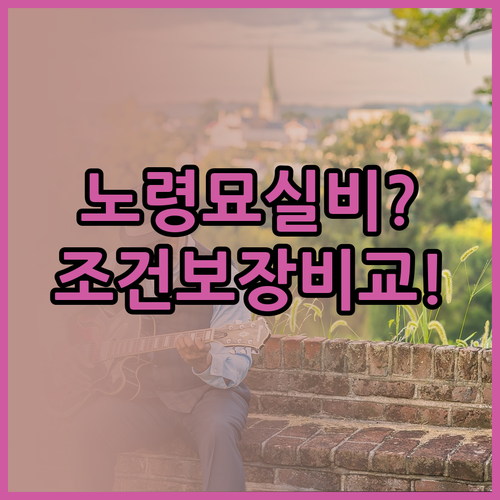 노령묘도 가입 가능한 실비보험 조건과..