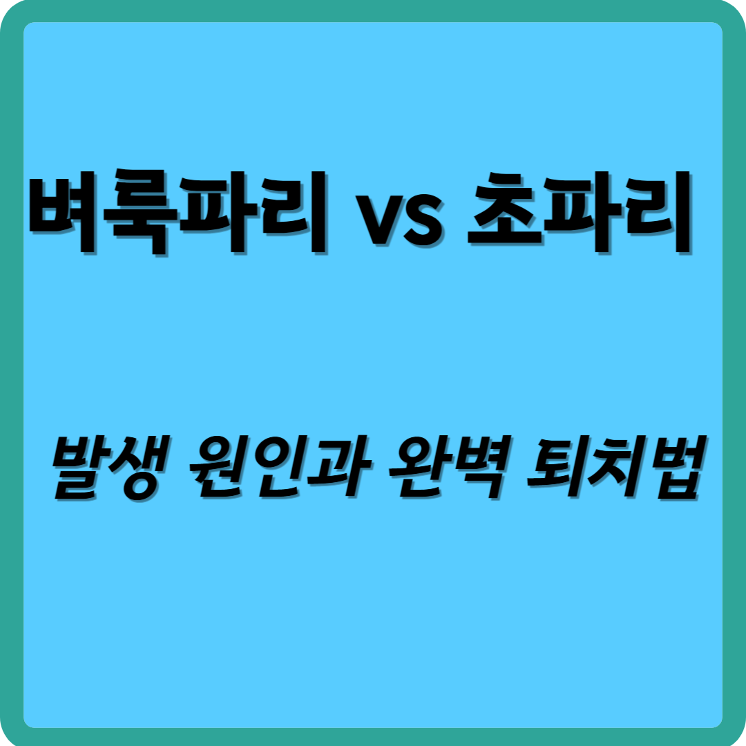 벼룩파리 vs 초파리, 발생원인과 완볍 퇴치법