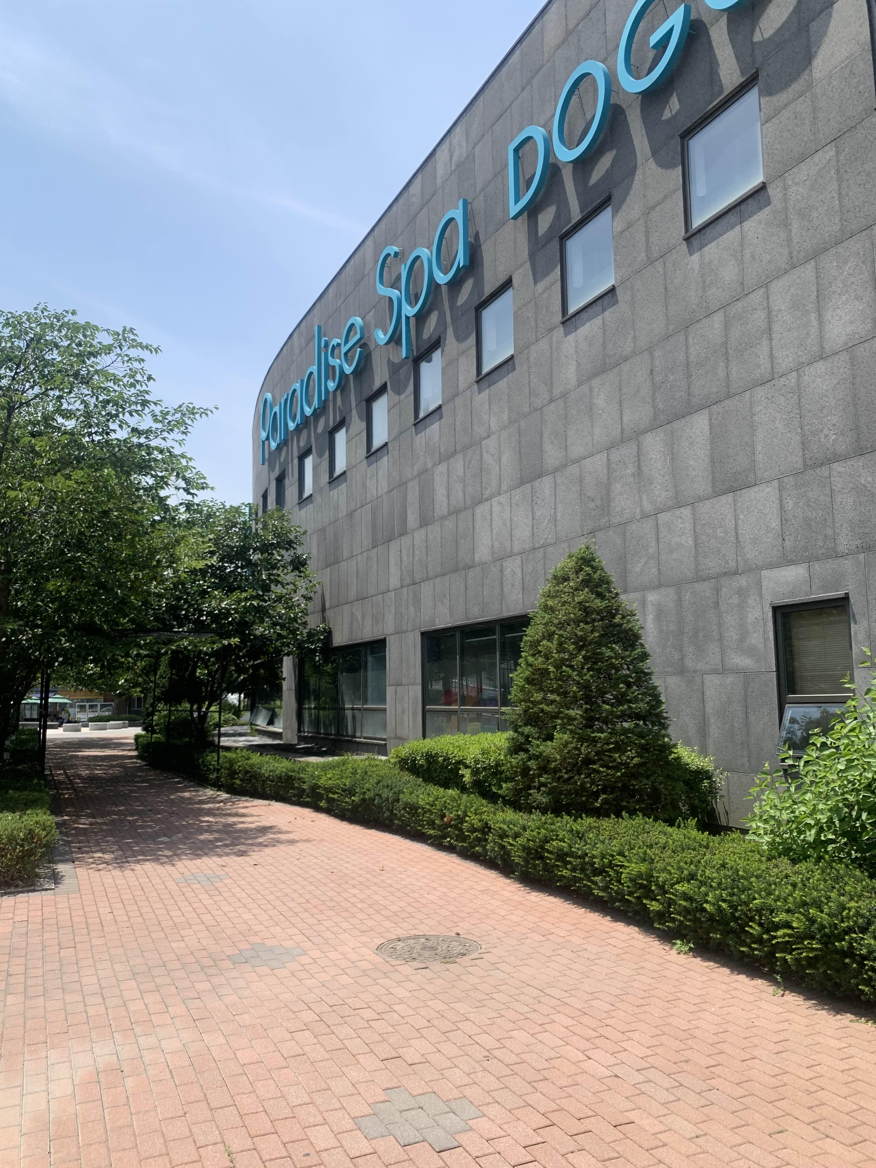 도고 파라다이스