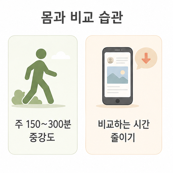 몸과 비교 습관