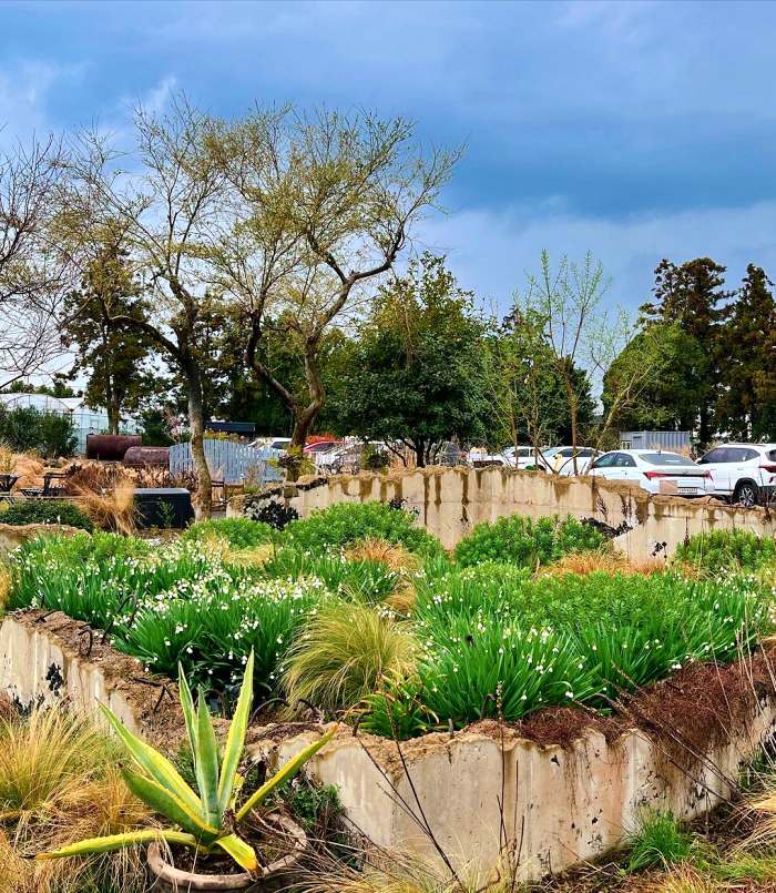 생방송 오늘 저녁 제주 쇠소깍 차콩 크림 라떼 맛집