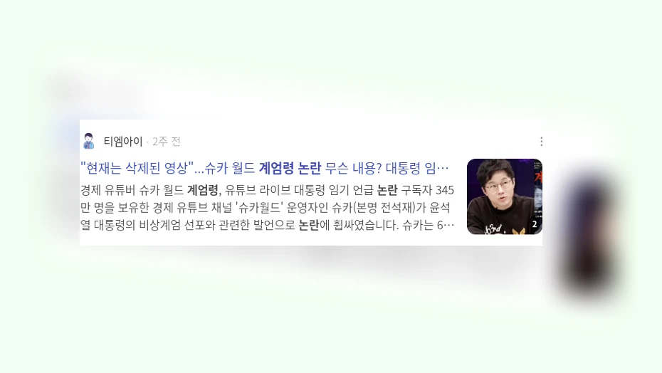 계엄령 논란_3_subsection