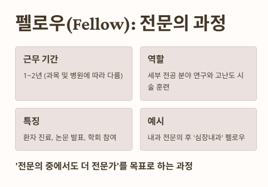 펠로우(Fellow): 세부 전문의 과정