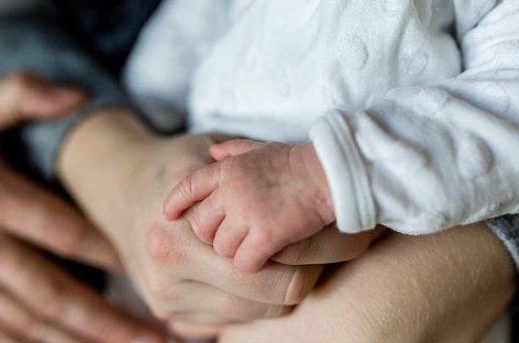 νλΆλͺ¨ κ°μ‘±μ§μ