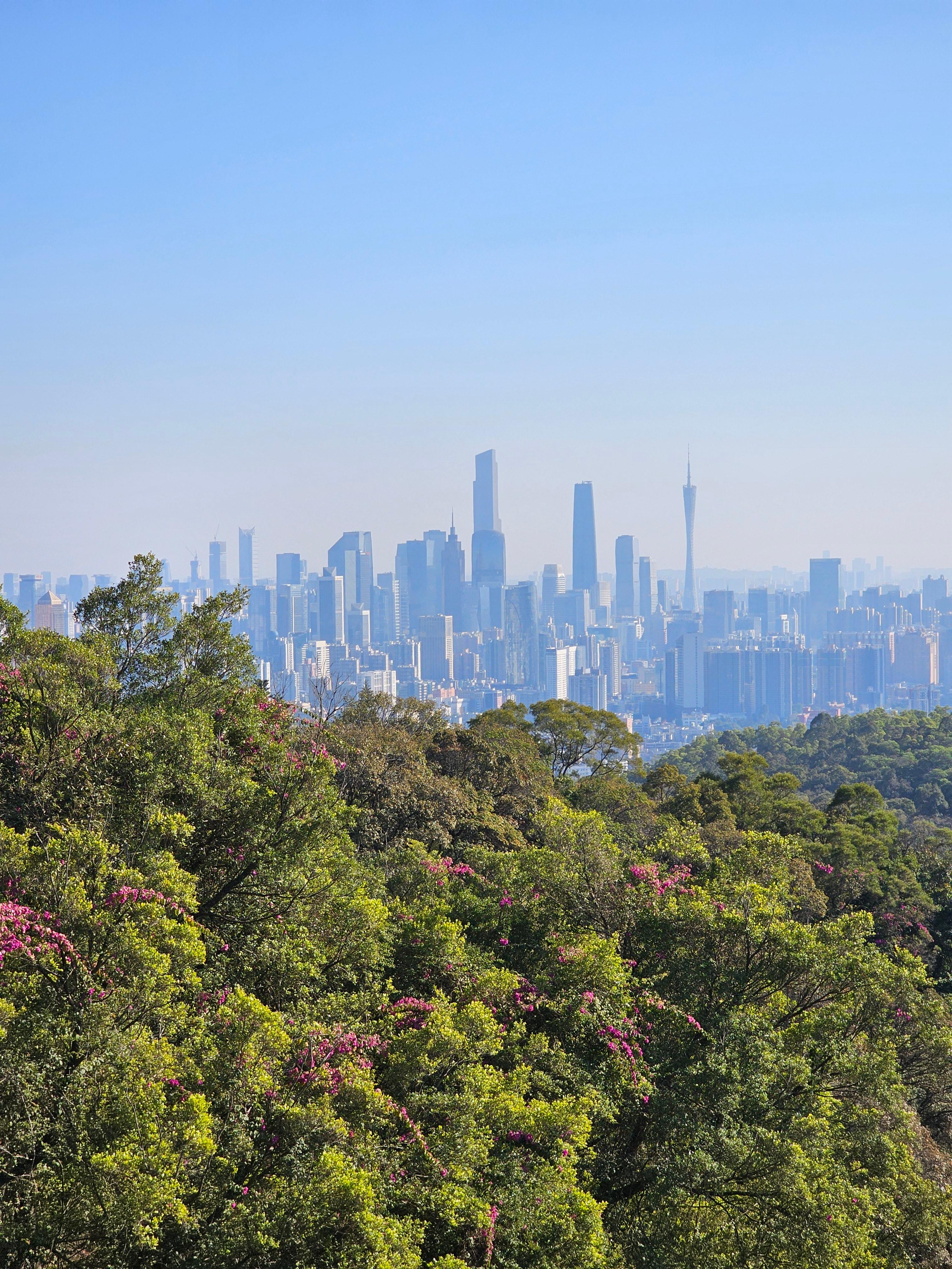 바이윈산 케이블카 타고 후기
