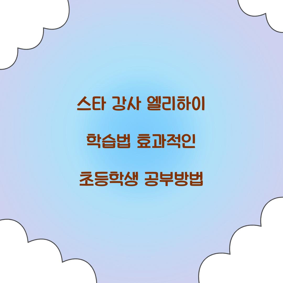 스타 강사 엘리하이 학습법
