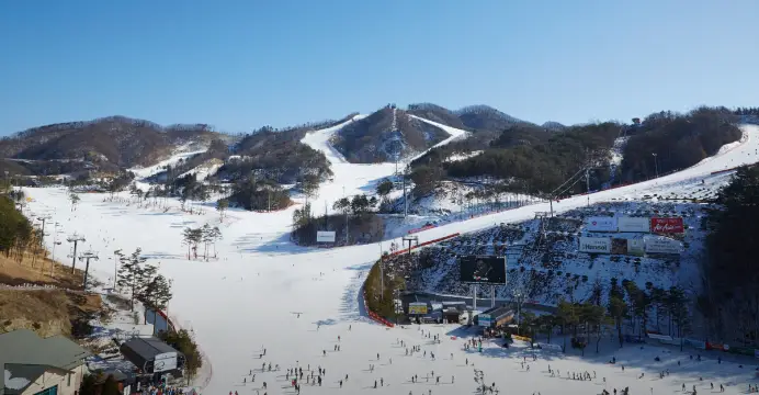 스키장 개장일 원주 오크밸리 스키장