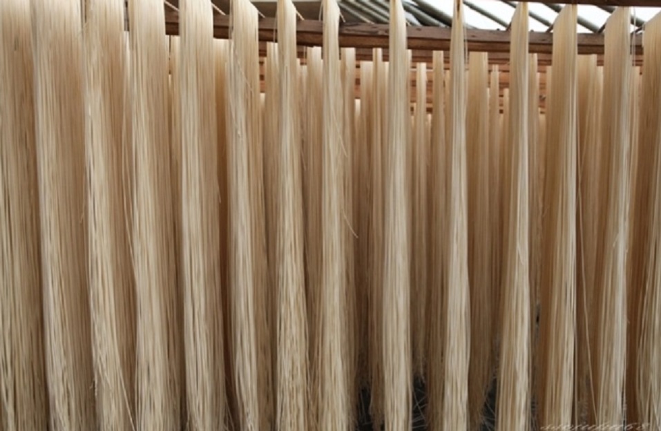 임실-국수공장-백양국수-노부부-자연건조국수