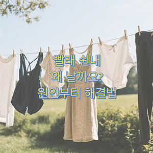 여름철 빨래 쉰내, 왜 날까? 원인부터 해결법까지 총정리!