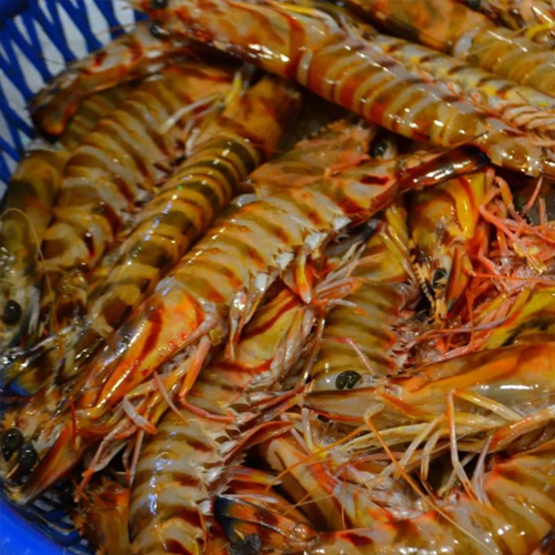 보리새우의 효능과 요리법&amp;#44; 부작용 알아보기