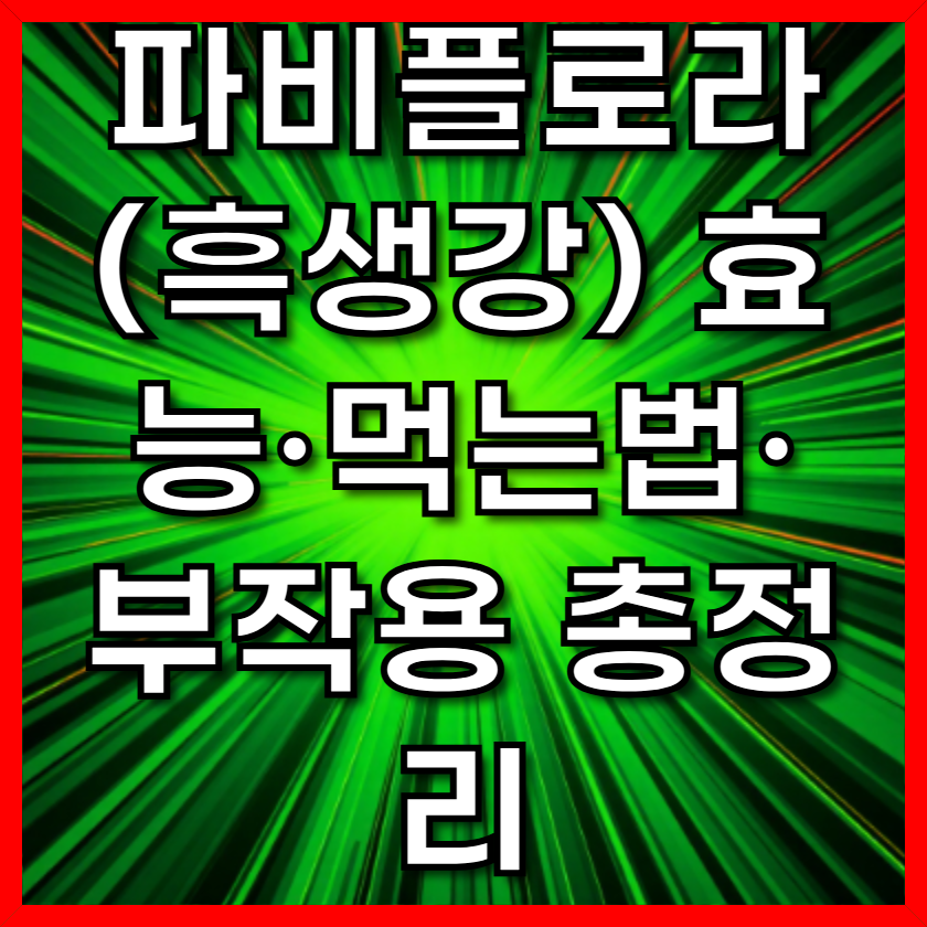 파비플로라(흑생강) 효능·먹는법·부작용 총정리