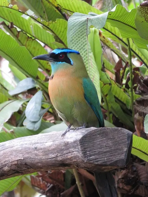 온수매트 선물 분리난방 예약기능 저소음 따뜻하고 안전한 수면환경 만들기_6