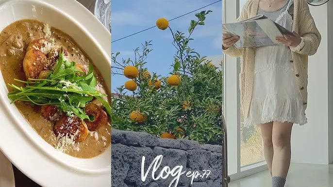 제주 김녕미로공원 입장료와 아이와 함께 즐기기 좋은 팁_1