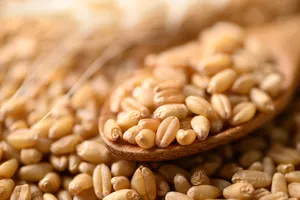 갱년기에-좋은-식품-음식