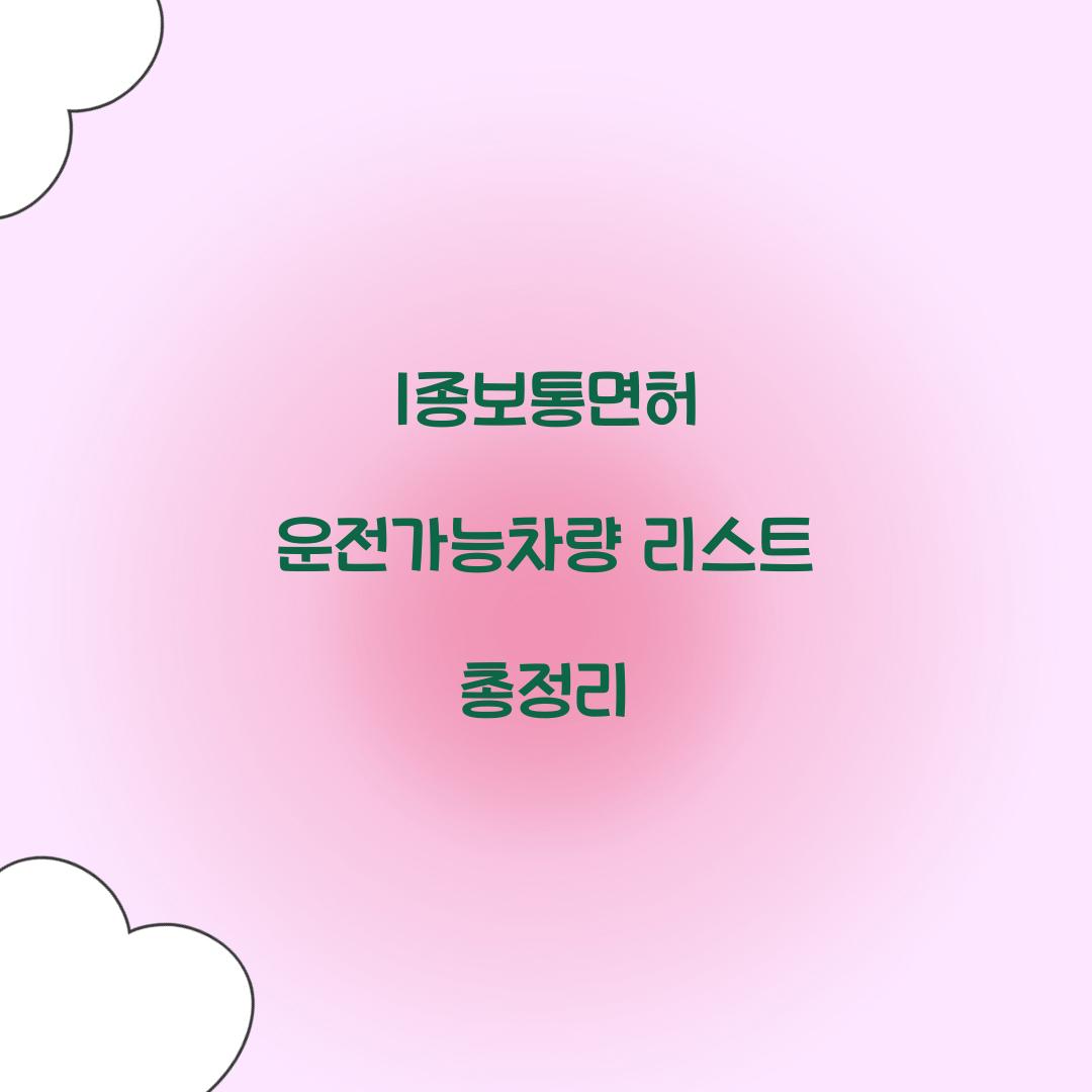 1종보통면허 운전가능차량 리스트