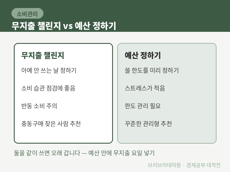 한 달 무지출 챌린지 해봤는데 솔직히 이랬어요. 무지출 챌린지 방법과 효과