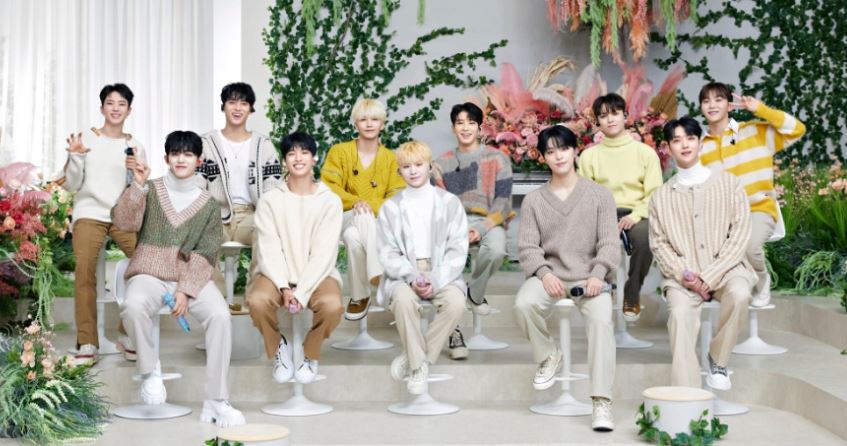 우지 반박 BBC 세븐틴 마에스트로 AI