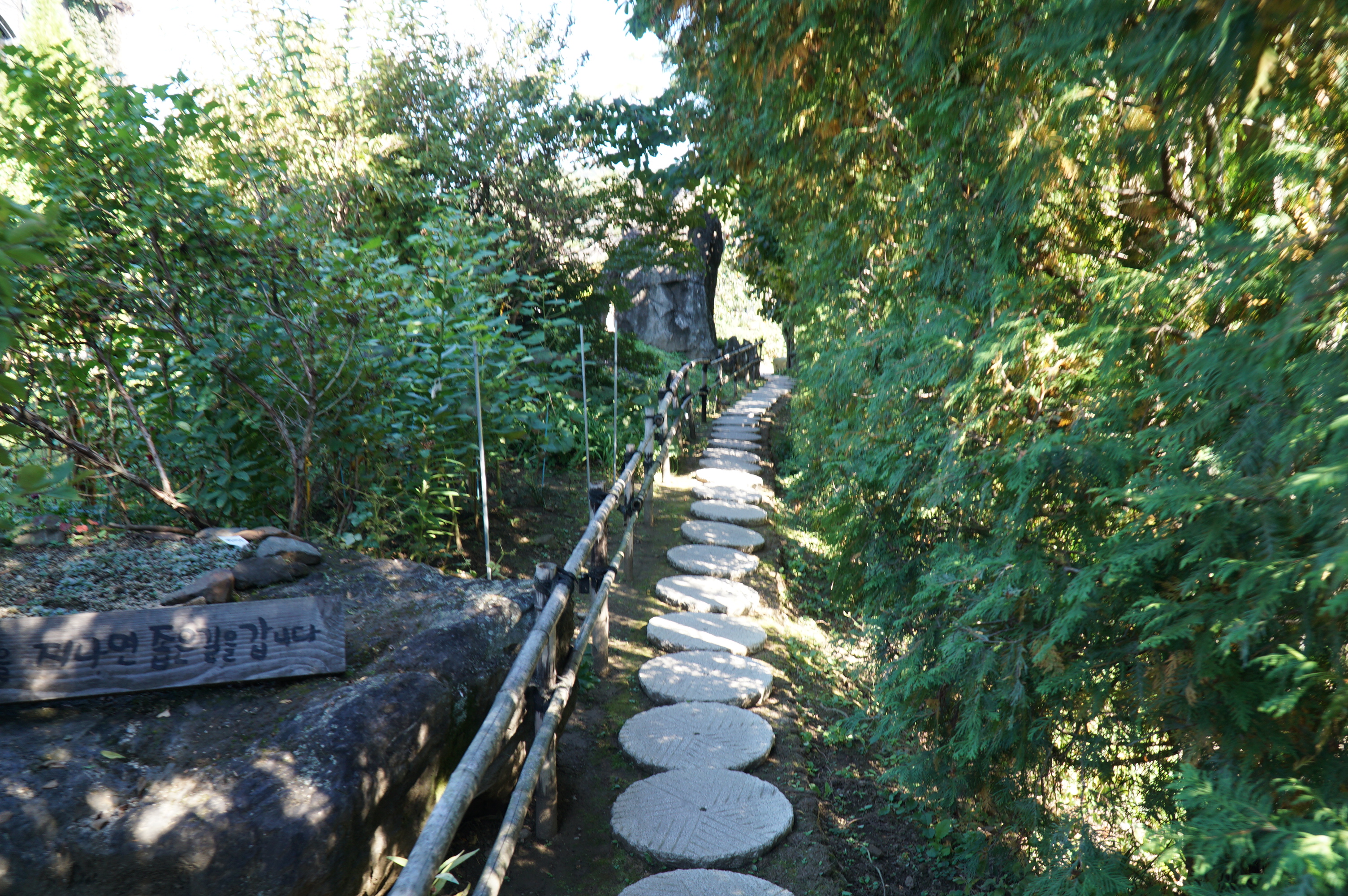 옥천수생식물학습원 산책길