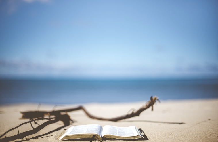 성공한 사람들의 독서 습관: 책을 제대로 읽고 삶에 적용하는 법