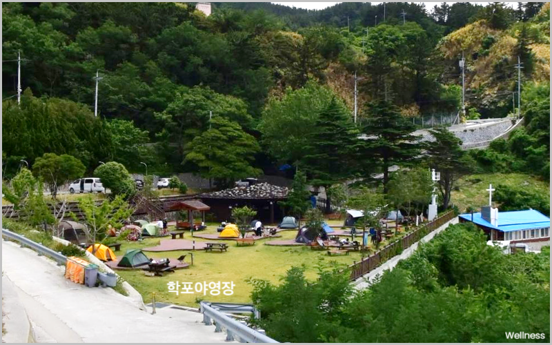 학포야영장 사진