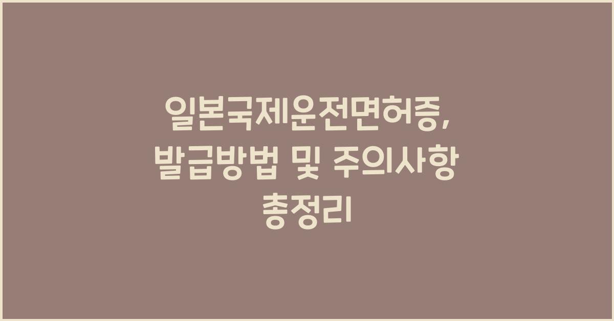 일본국제운전면허증