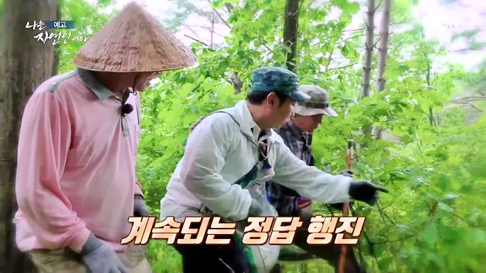 나는 자연인이다 곤드레밥, 부추전, 텃밭 아스파라거스 미나리 삼겹살, 1200평 땅을 나눠 산골 생활, 이웃집 두 남자 자연인 권영팔, 김진식 소개 및 이승윤 출연 558회 다시보기