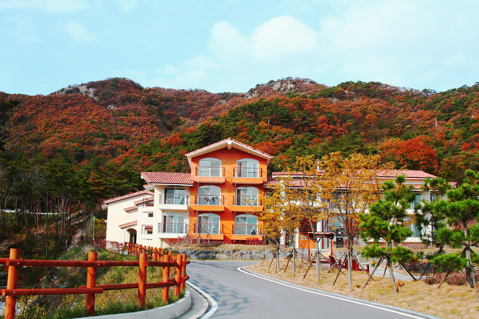 부안 변산 자연휴양림 주변 맛집 카페 특산물 시세 오일장 강아지 동반 정보