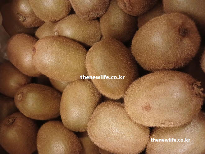 키위 효능 중 혈관 건강에 도움을 주는 칼륨과 항산화 물질인 폴리페놀이 풍부한 실사진