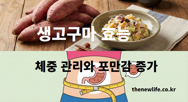 생고구마와 샐러드를 함께 구성한 체중 관리 관련 이미지
