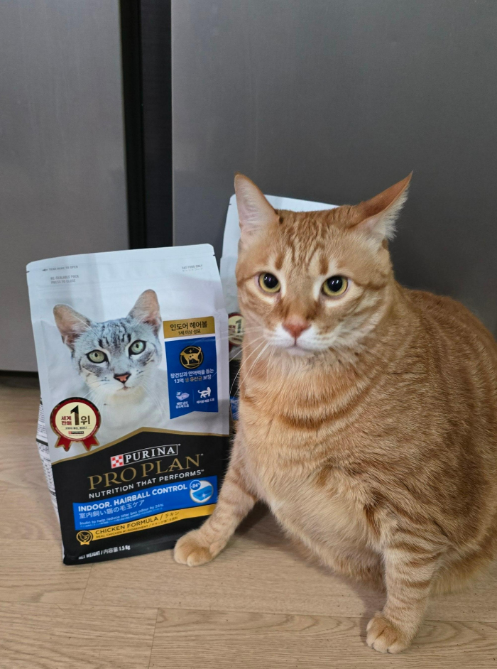 퓨리나 캣 프로플랜 실내묘 헤어볼2
