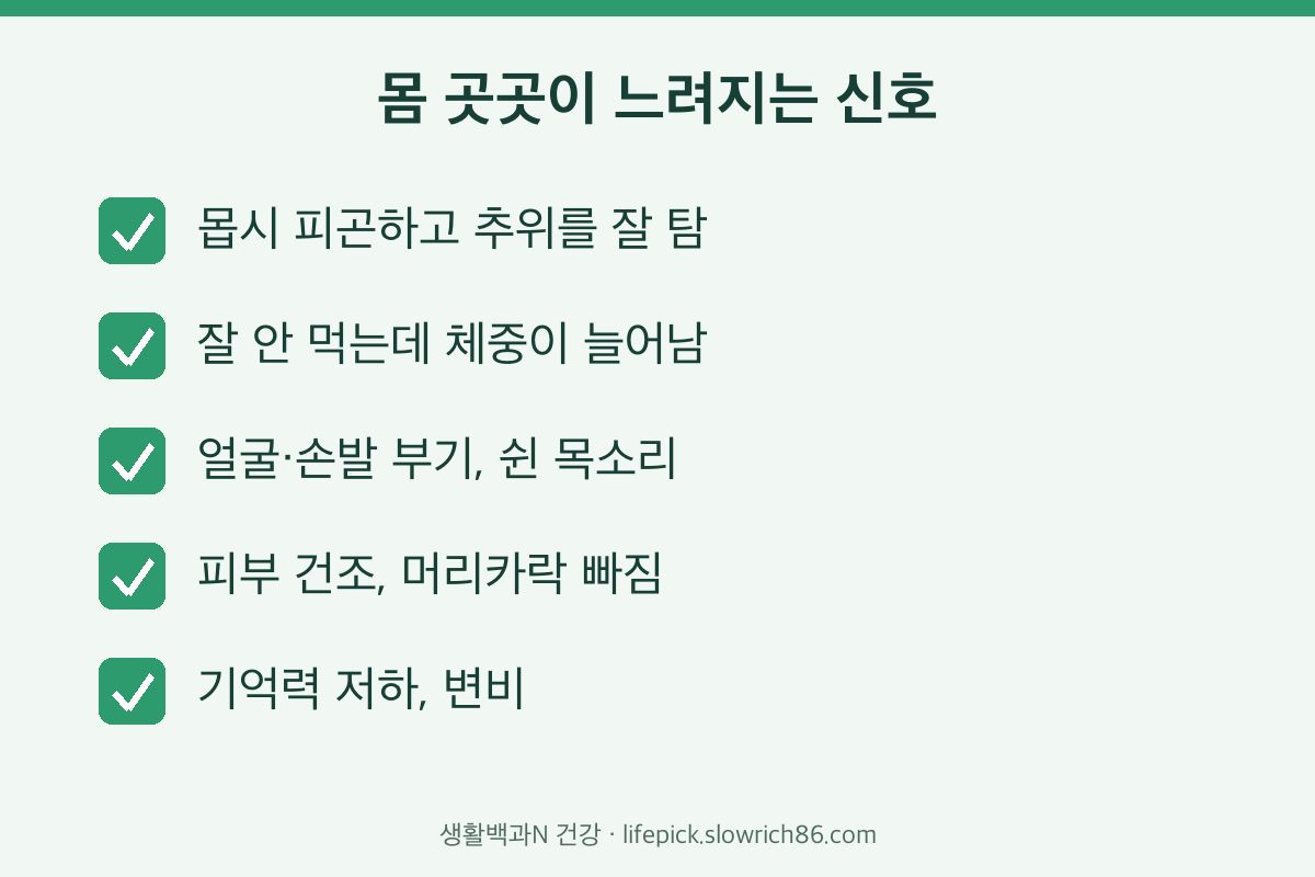 갑상선 기능 저하증 증상 체크리스트 피로 추위 체중 증가 부기 변비