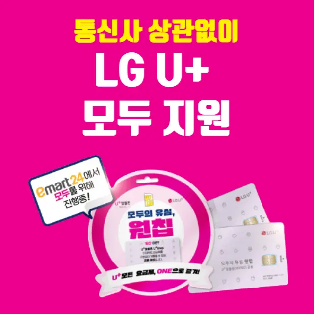 모두의원칩
