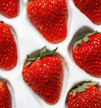 딸기 효능 부작용 칼로리 고르는법