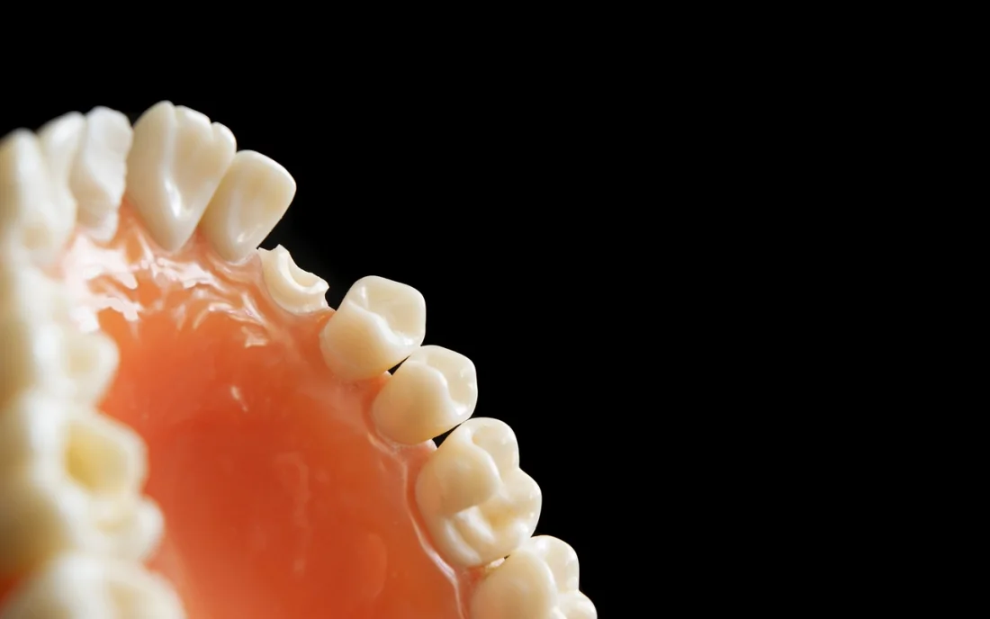 치아 건강과 장수의 비밀