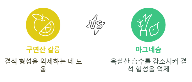 구연산 칼륨과 마그네슘의 신장결석