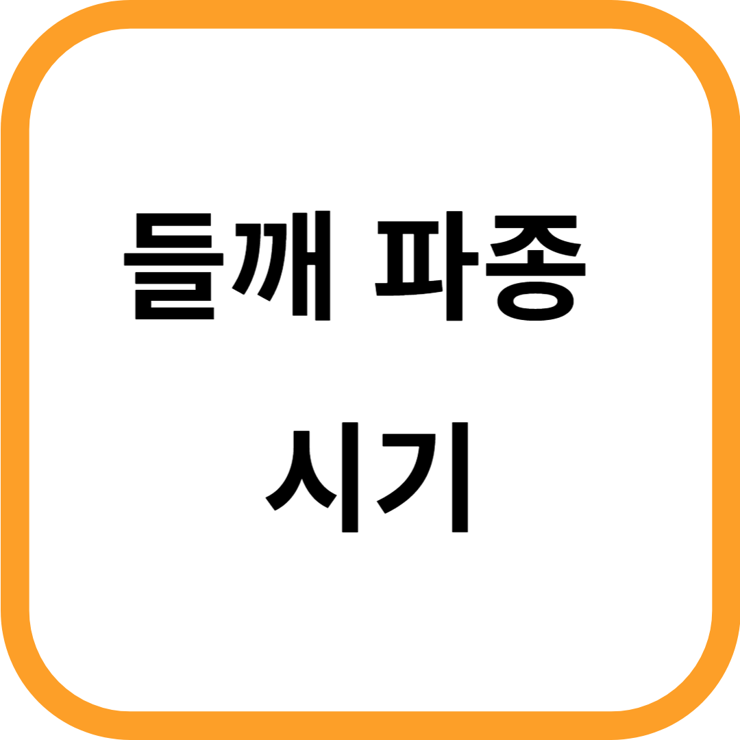 들깨 파종 시기