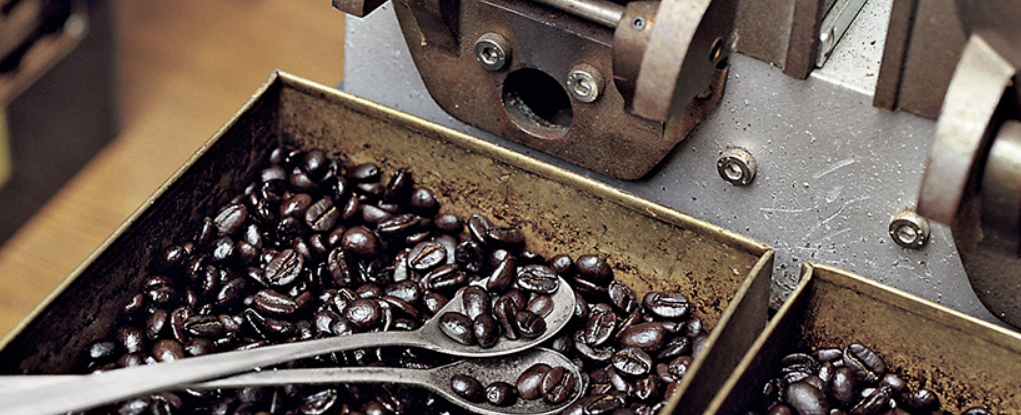 [ 출처 : 스타벅스 코리아 홈페이지 ]