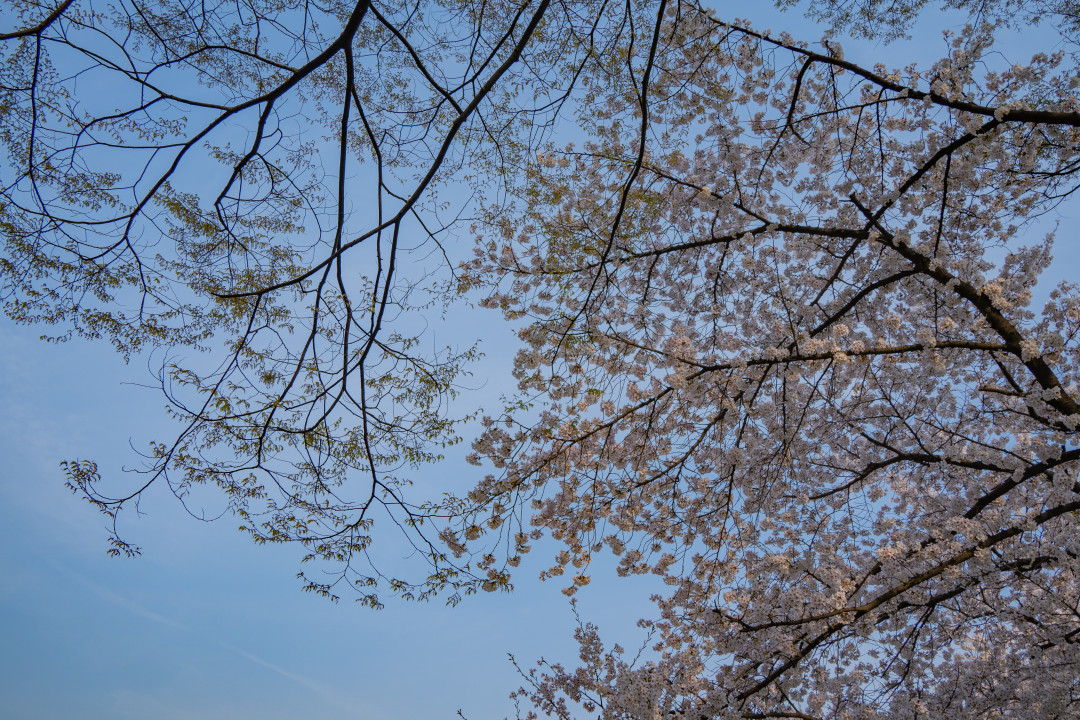 아주대학교 캠퍼스 산책