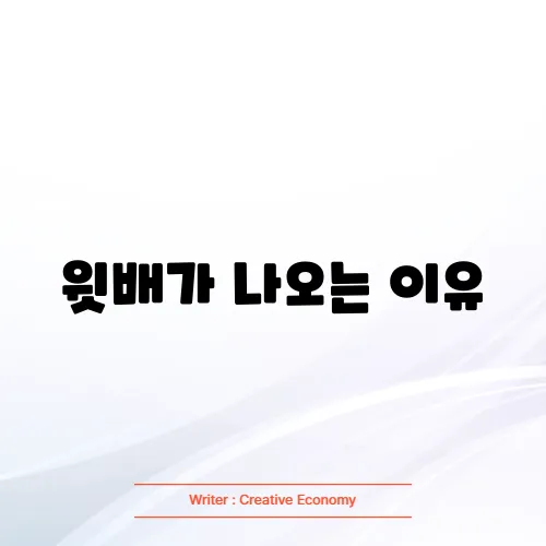 윗배가 나오는 이유