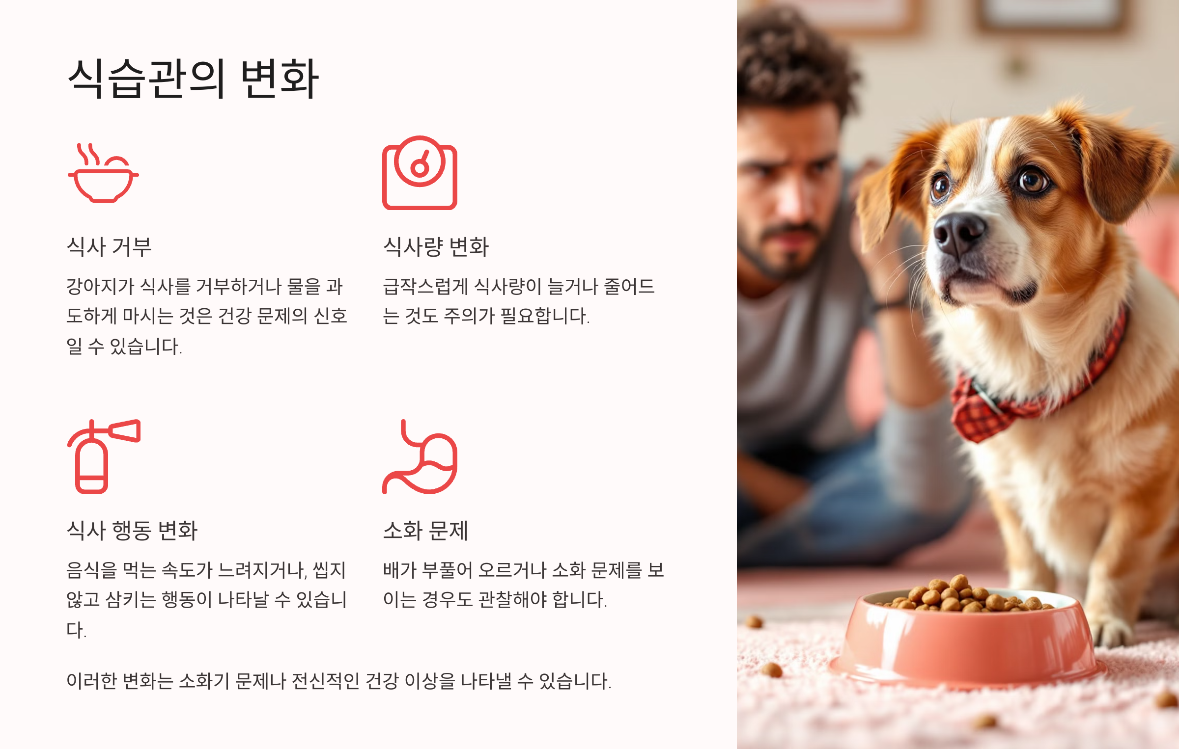 식습관의 변화