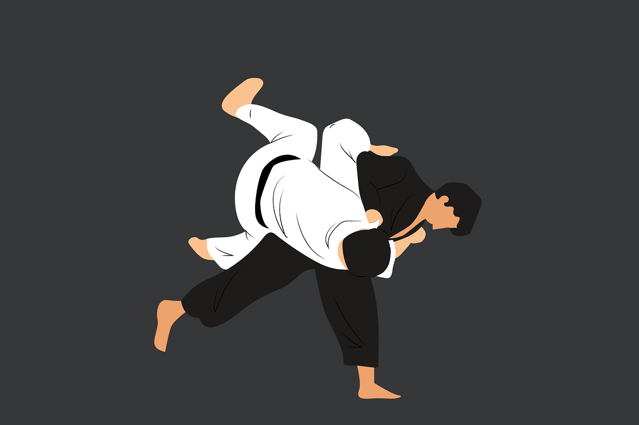 유도 사진