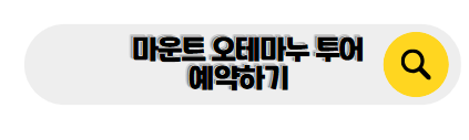 보라보라 신혼여행