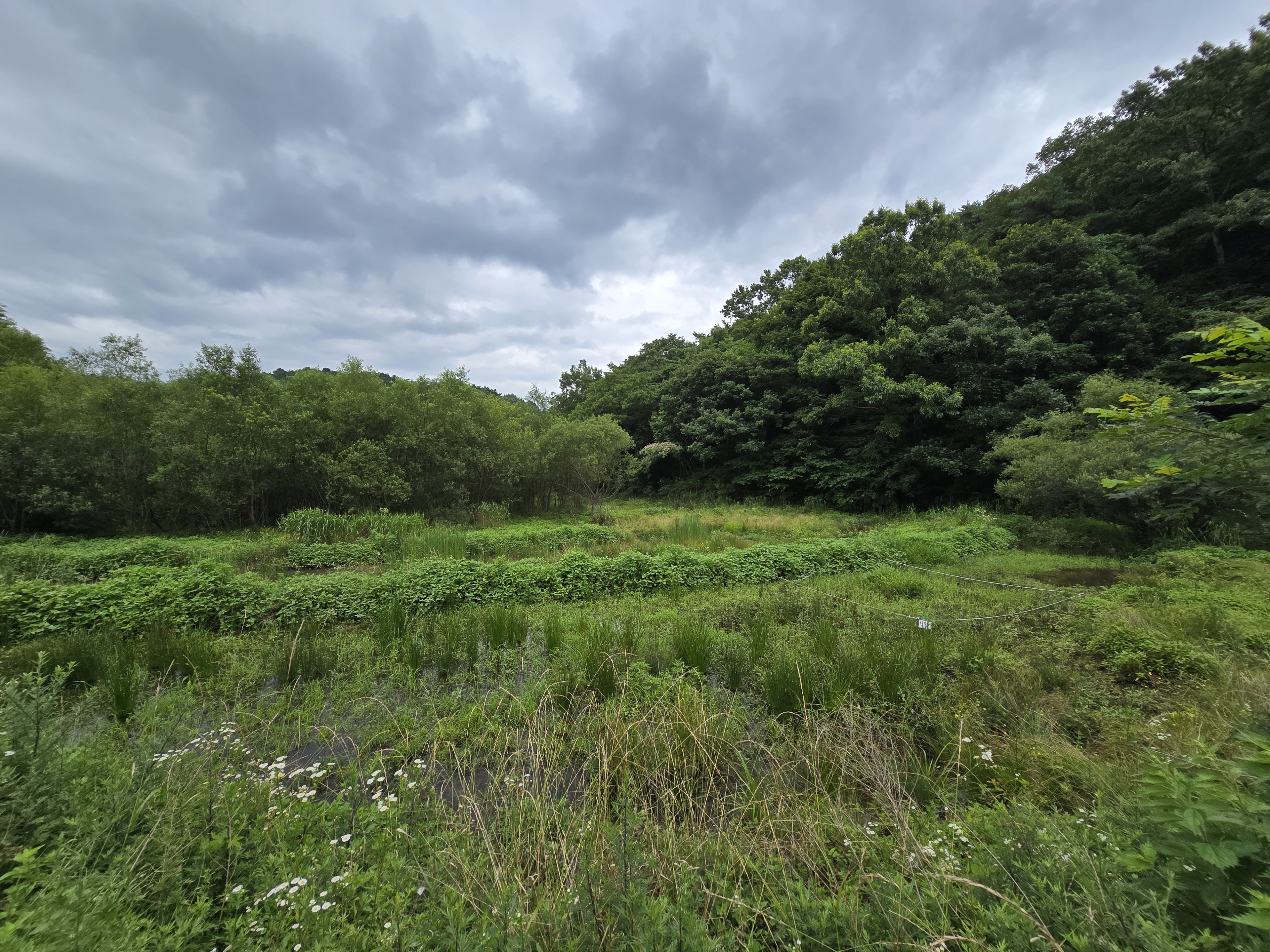 광주 북구가 자랑하는 생태 천국. 평두메두사의 빼어난 가치 알리는 특별한 걷기 축제 열린다.