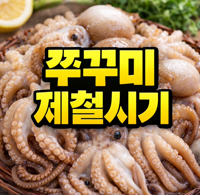 쭈꾸미제철시기