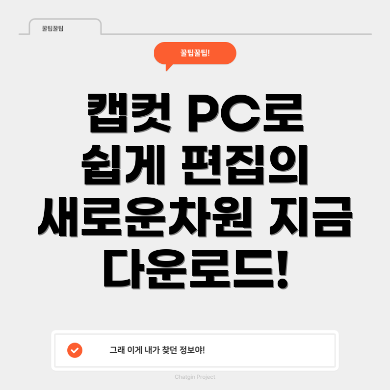 캡컷 PC 버전